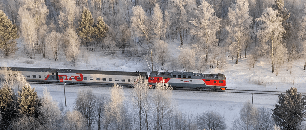 Поезд на фоне зимнего поля и леса