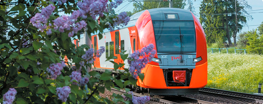 Система корпоративного управления