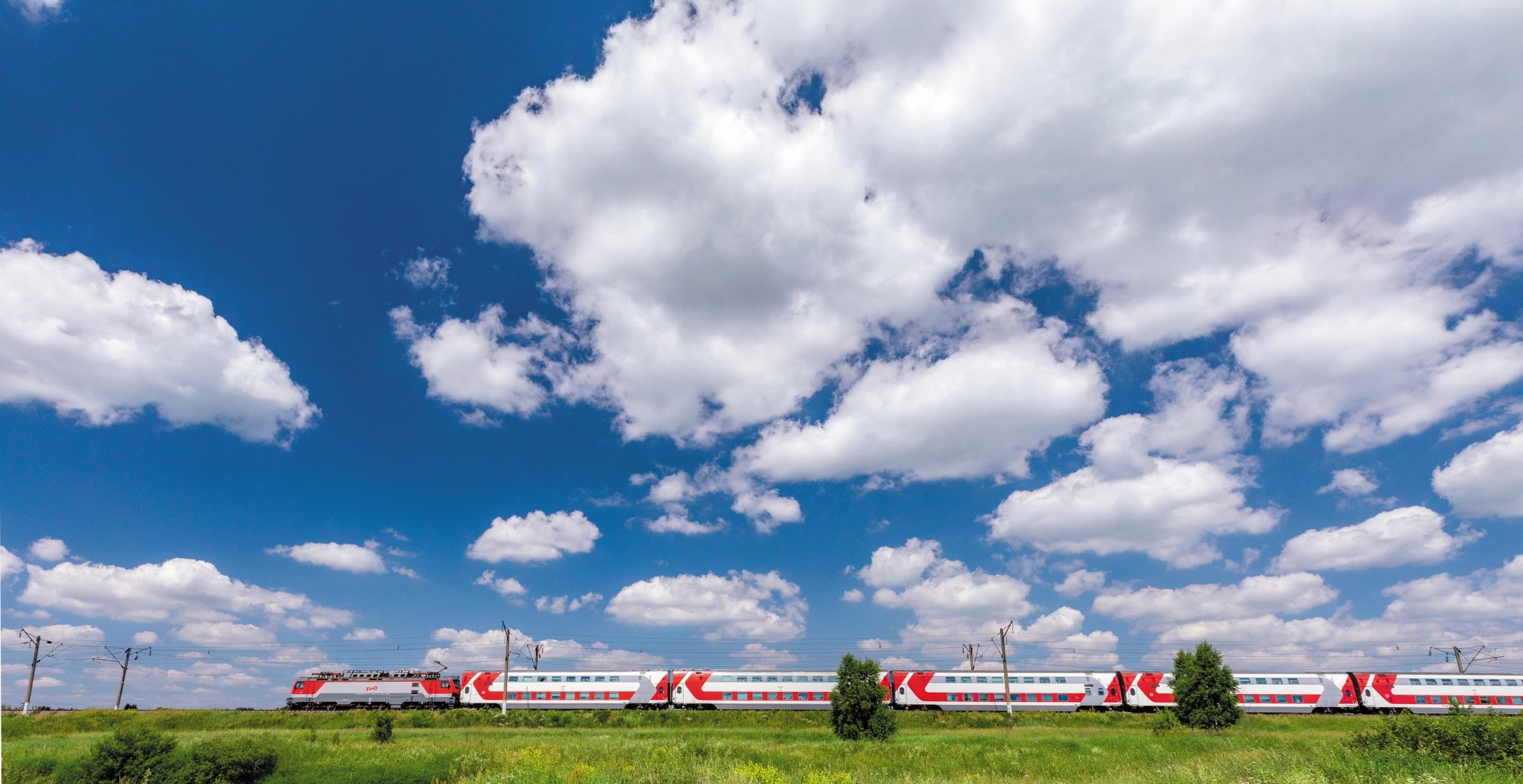 Портрет Компании