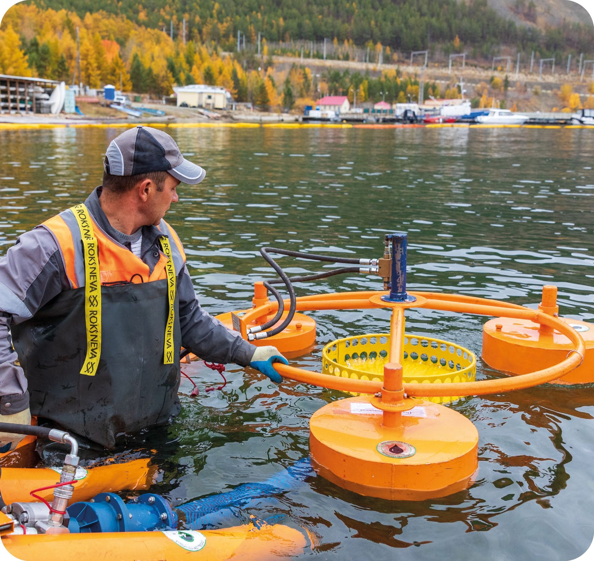 Eliminating pollution and restoring ecosystems